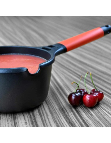 Cazo Castey Induction Antiadherente de Aluminio...