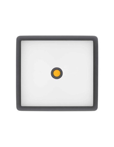 Tapadera de Cristal Castey Vulcano Para...