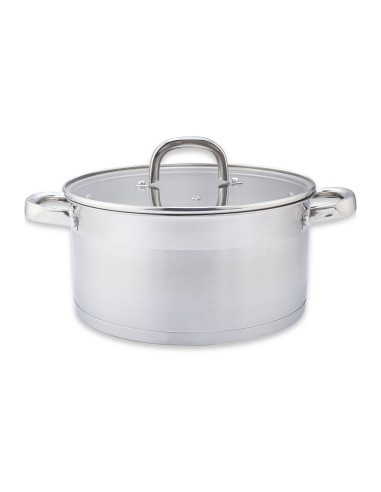 Olla con tapa Essentials 24 cm