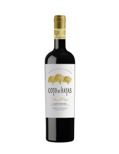 Caja de 6 vinos Viñas Del Cierzo. Vino Tinto Reserva D.O. Campo De Borja Botella 75 Cl