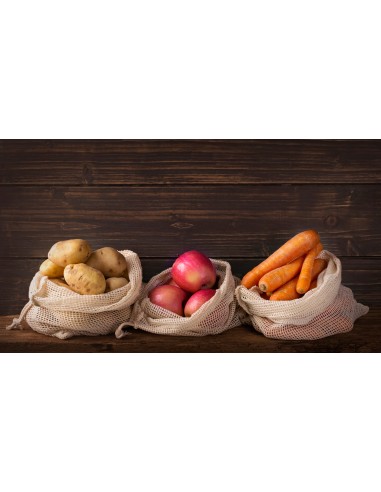 10 BOLSAS DE COMPRA ALGODON ORGANICO HAIZEA