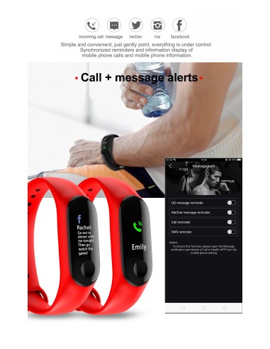 Eurofest - FitBand FD0093