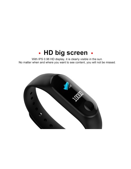 Eurofest - FitBand FD0093