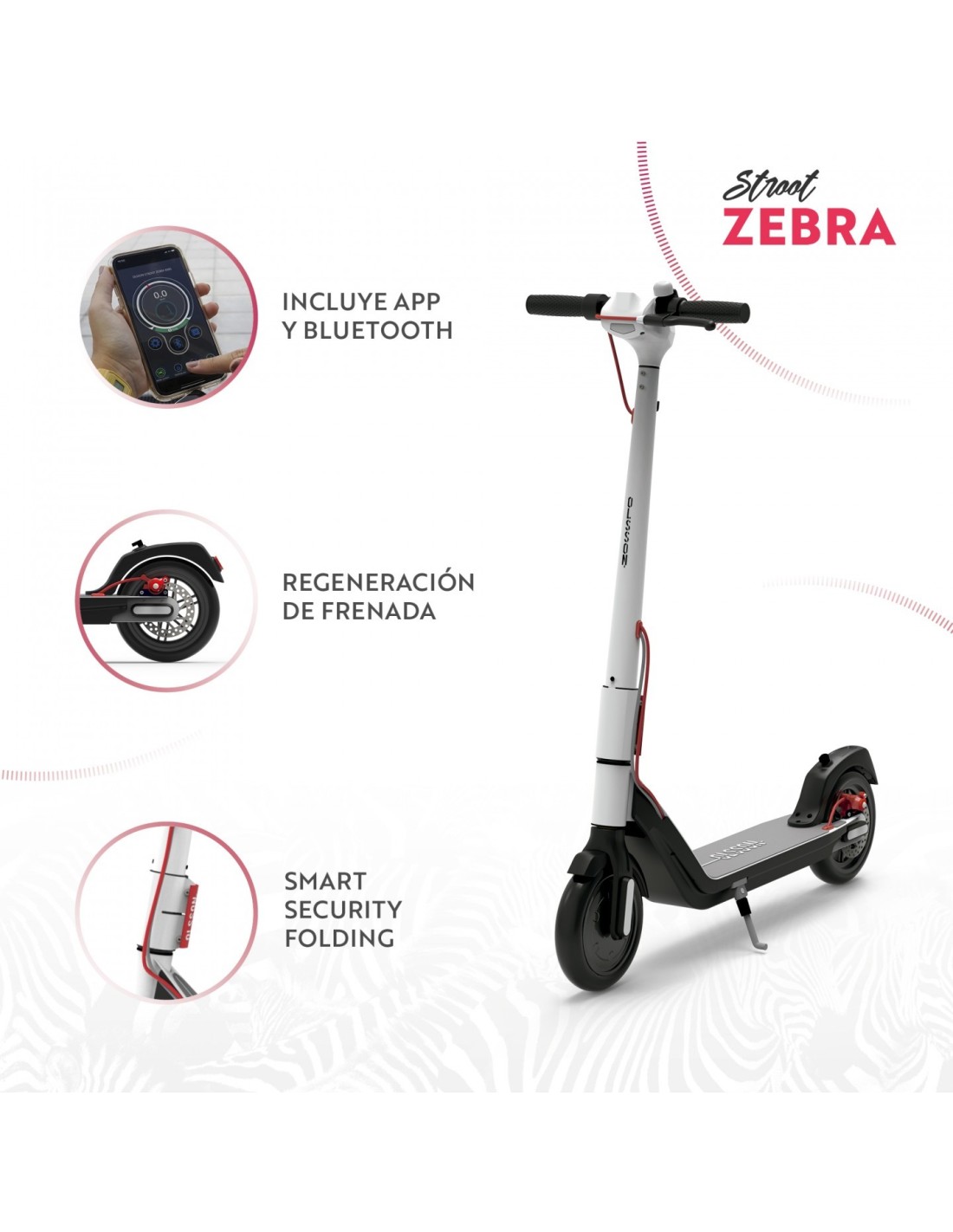 OLSSON - eléctrico Zebra