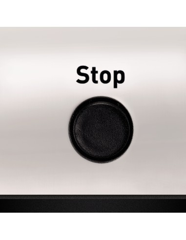 MOULINEX - Tostadora de 2 ranuras de acero inoxidable CLASSIC LT330D11