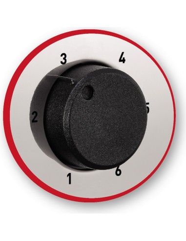 MOULINEX - Tostadora de 2 ranuras de acero inoxidable CLASSIC LT330D11