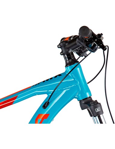 ORBEA - Bici Orbea MX 50 Talla L  Rueda 29